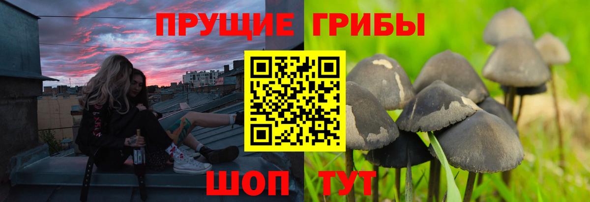 Ангарск  Галлюциногенные грибы GOLDEN TEACHER  Псилоцибиновые грибы Cubensis  Вход с VPN 